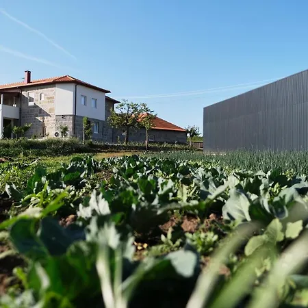 Aldeia Da Quinta Do Paco Villa Santo Tirso Exterior photo